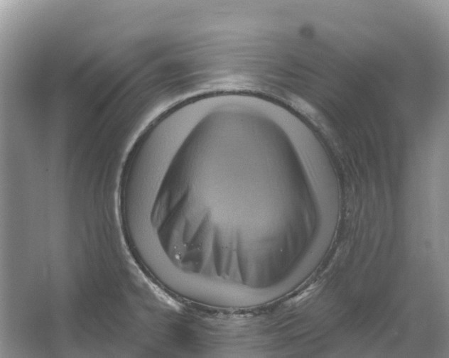 X0000066951334200604142039