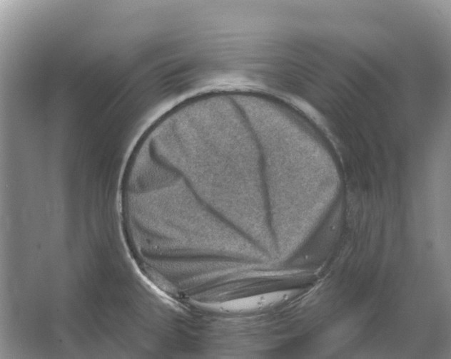 X0000066951335200604142039