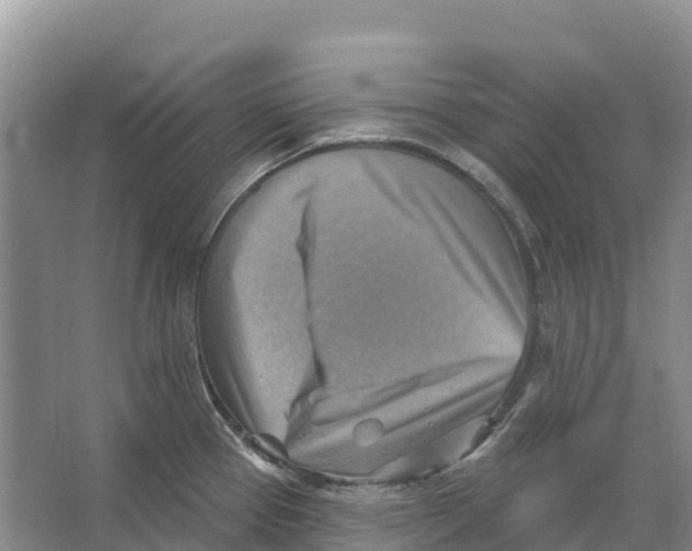 X0000066951337200604142039