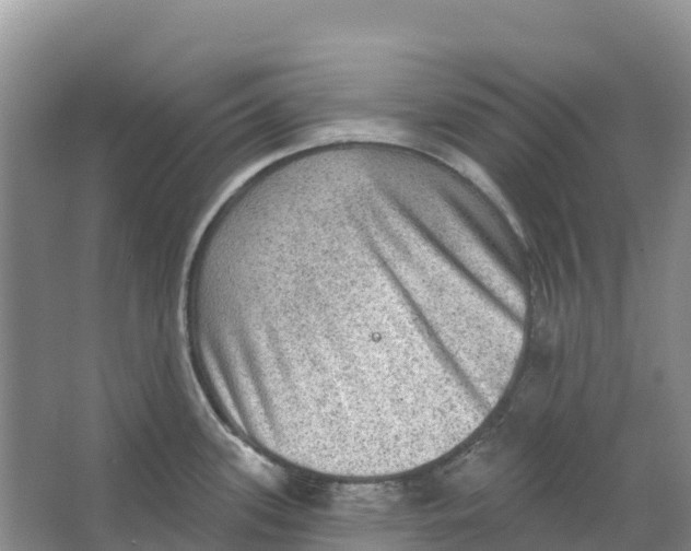 X0000066951339200604142039