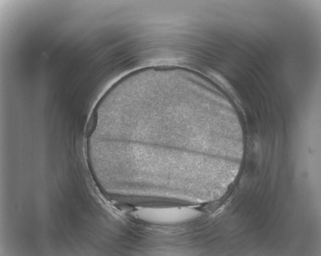 X0000066951340200604142039