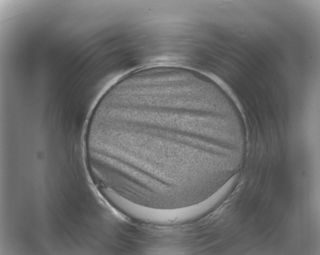 X0000066951341200604142039