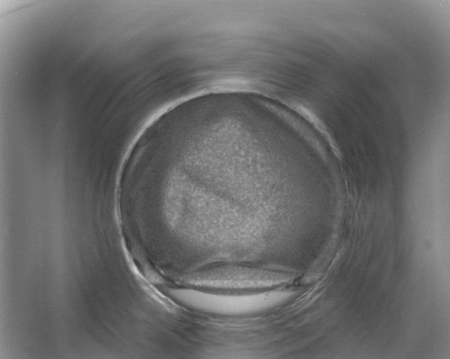 X0000066951342200604142039