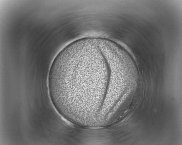 X0000066951343200604142039