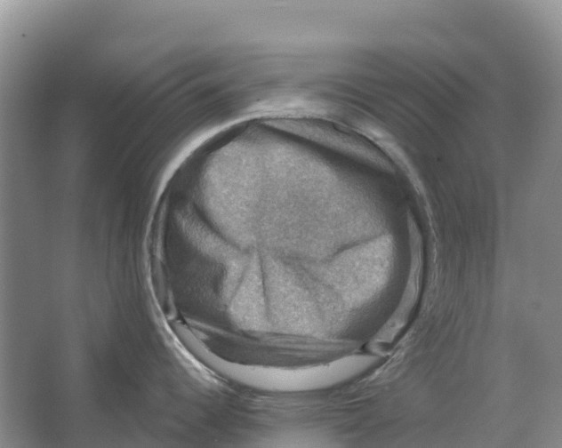 X0000066951344200604142039