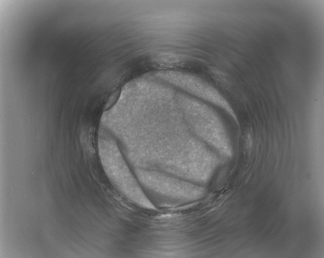 X0000066951346200604142039