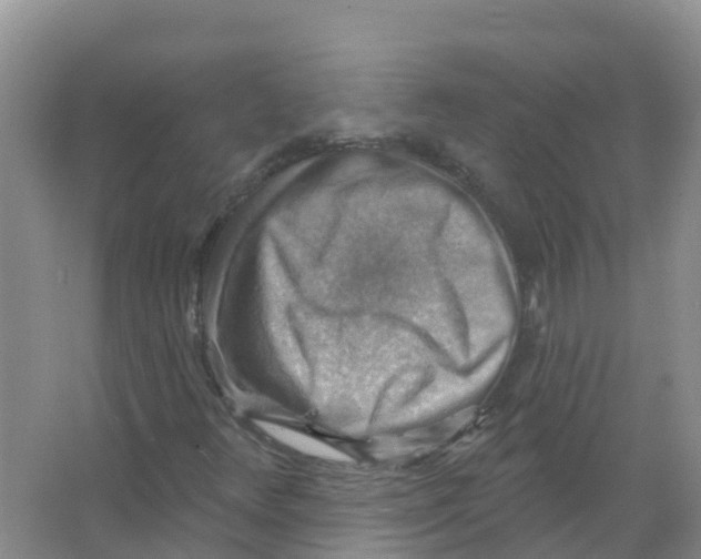 X0000066951348200604142039