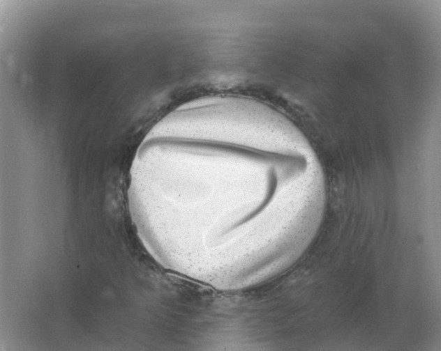 X0000066951349200604142039