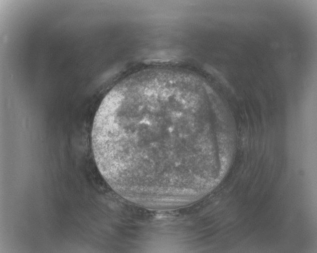 X0000066951350200604142039