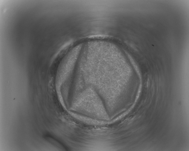 X0000066951351200604142039