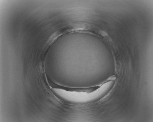 X0000066951353200604142039