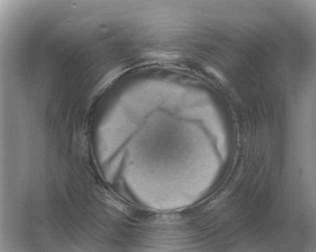 X0000066951354200604142039