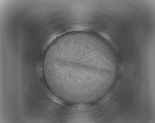 X0000066951355200604142039