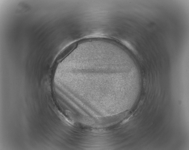 X0000066951356200604142039