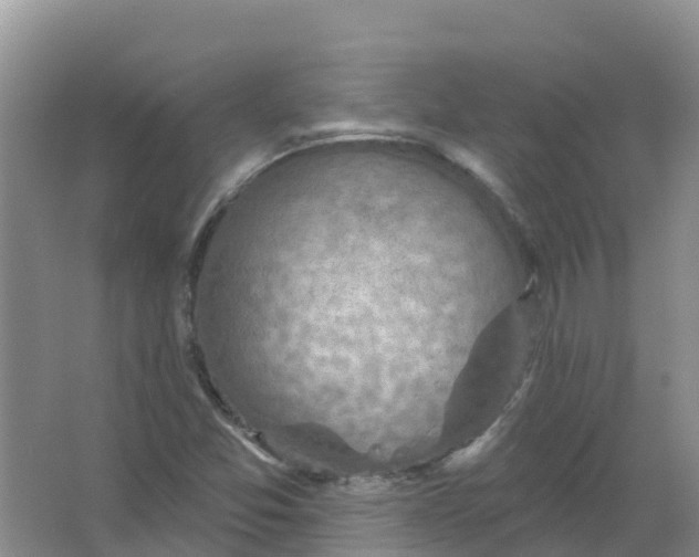 X0000066951357200604142038