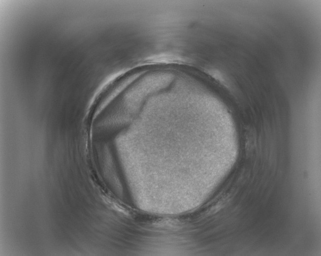 X0000066951358200604142038