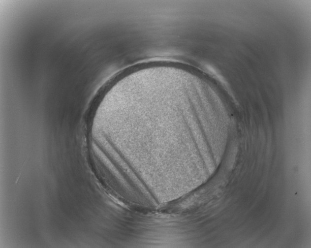 X0000066951360200604142038