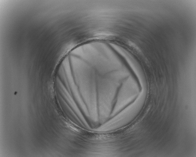 X0000066951362200604142038