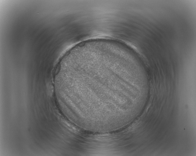 X0000066951363200604142038