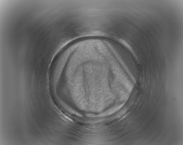 X0000066951364200604142038