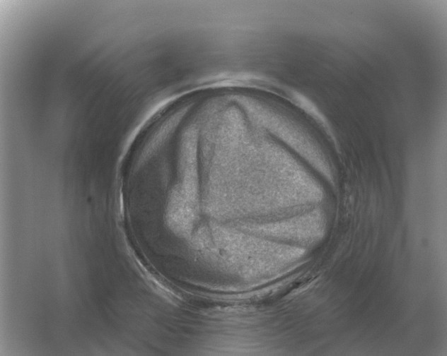 X0000066951368200604142038