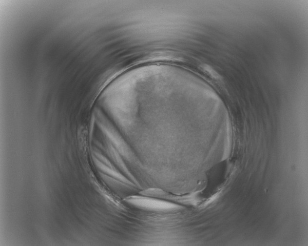 X0000066951369200604142038