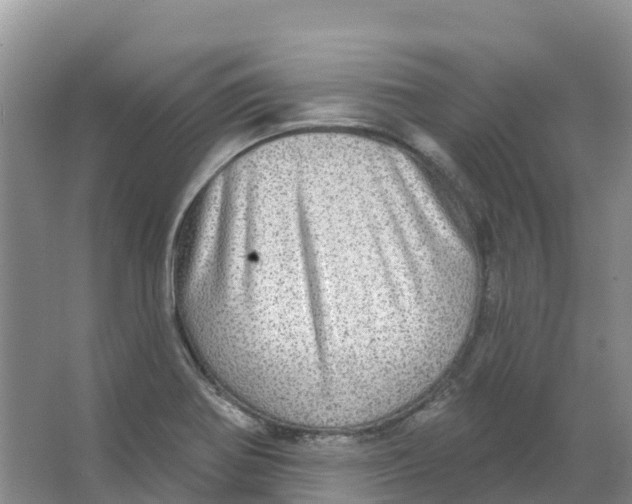 X0000066951370200604142038