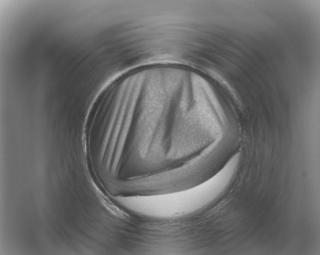 X0000066951372200604142038