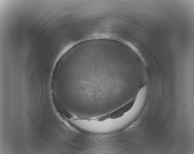 X0000066951373200604142038