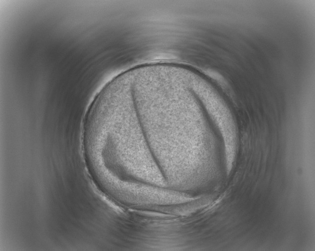 X0000066951374200604142038