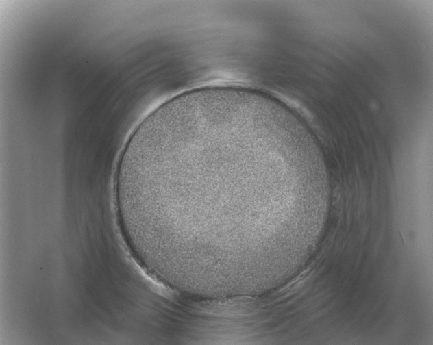 X0000066951375200604142038