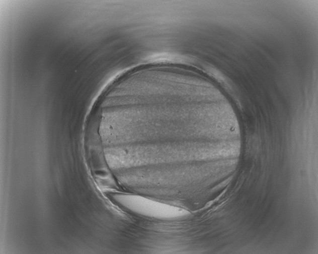 X0000066951376200604142038