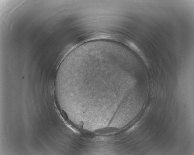 X0000066951377200604142038