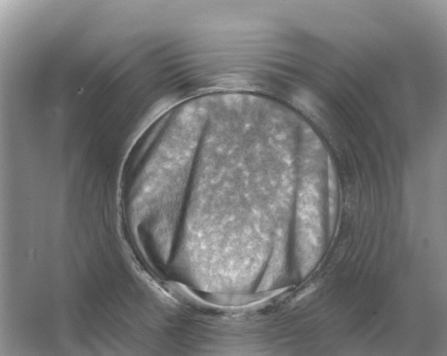 X0000066951378200604142038