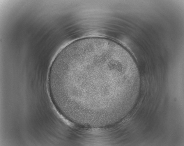 X0000066951379200604142038