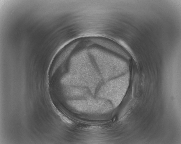 X0000066951380200604142038