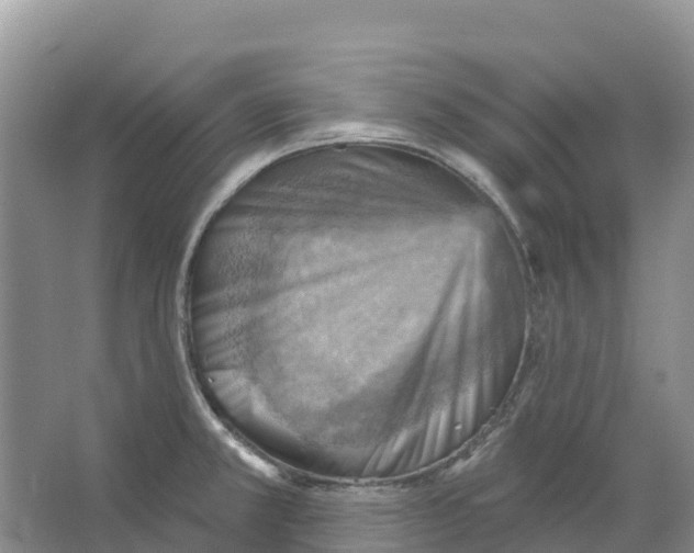 X0000066951381200604142038