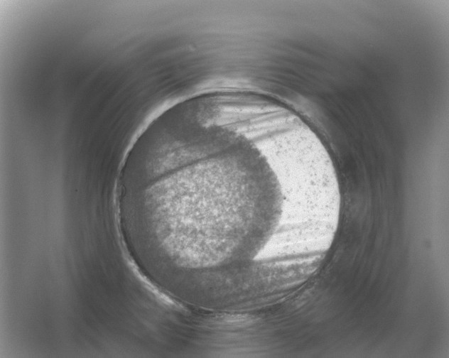 X0000066951382200604142038