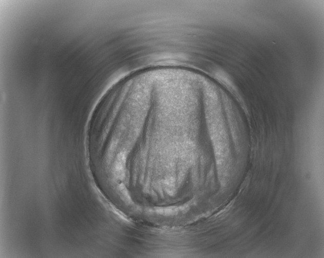 X0000066951384200604142038