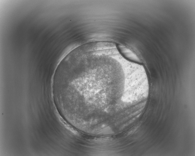 X0000066951386200604142038