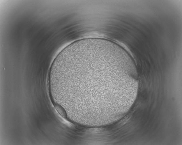 X0000066951387200604142038