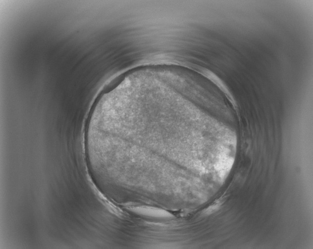 X0000066951388200604142038