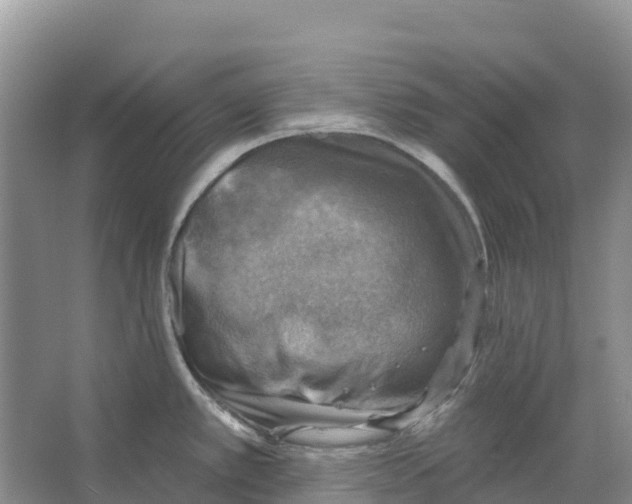 X0000066951389200604142038