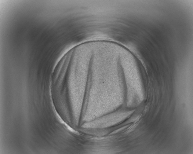 X0000066951390200604142038