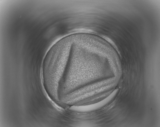 X0000066951391200604142038