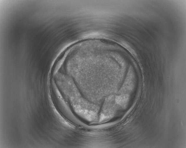 X0000066951392200604142038