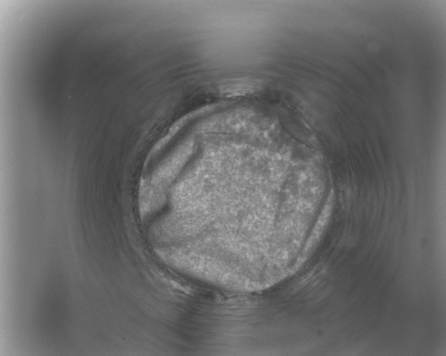 X0000066951393200604142037