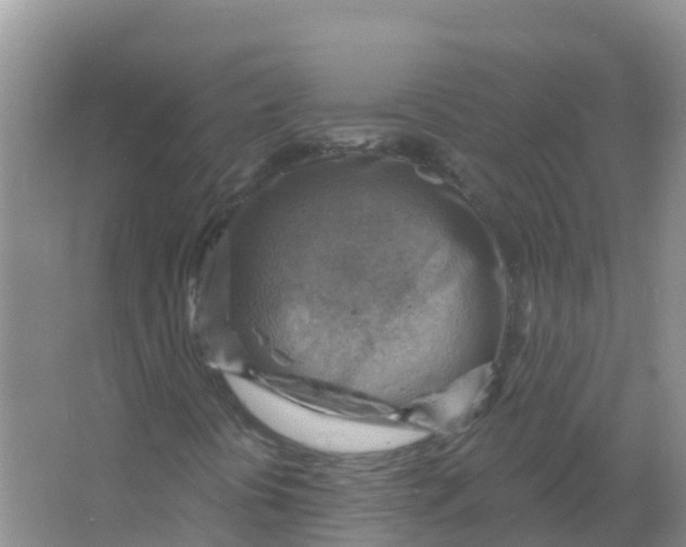 X0000066951394200604142037