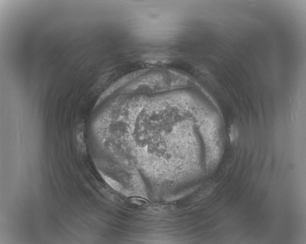 X0000066951396200604142037