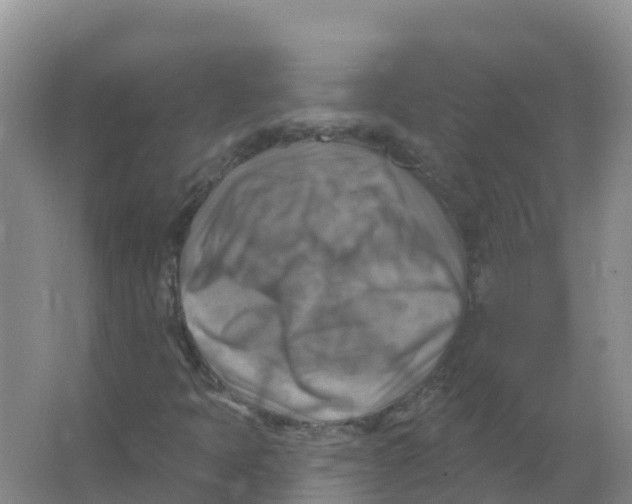 X0000066951397200604142037